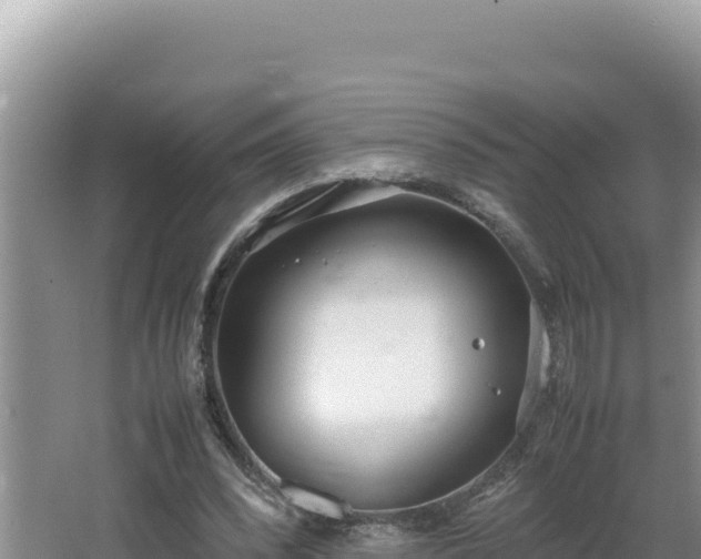 X0000064730392200602131255