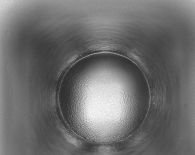 X0000064730394200602131255