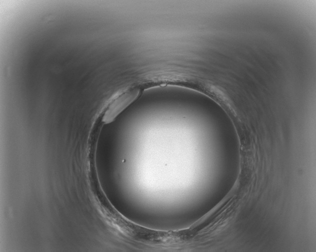 X0000064730395200602131255