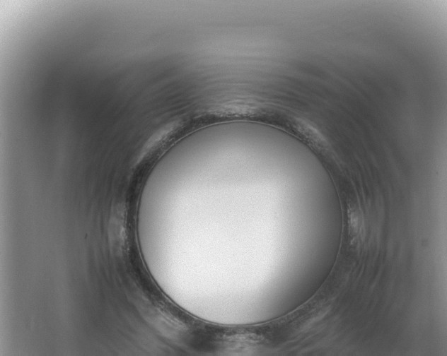 X0000064730396200602131255