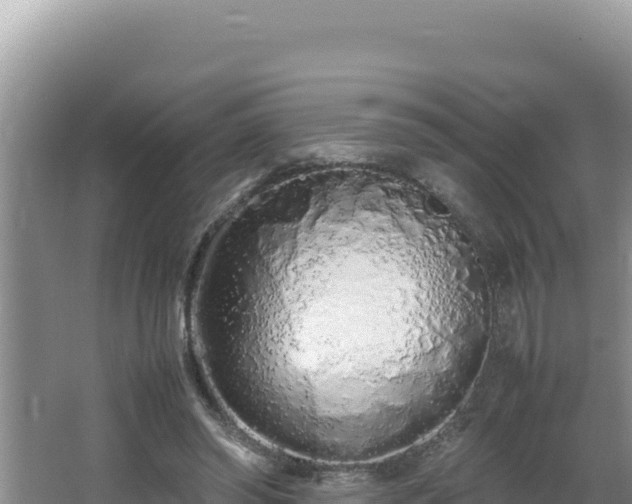 X0000064730398200602131255