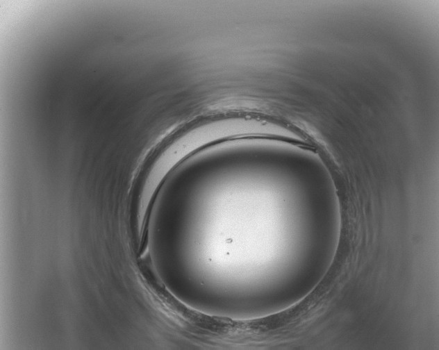 X0000064730399200602131255