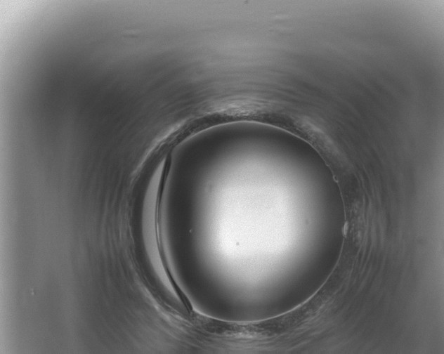 X0000064730400200602131255