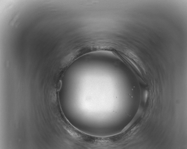 X0000064730401200602131255