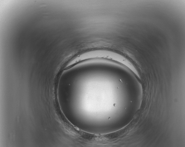 X0000064730403200602131255