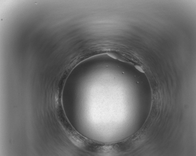 X0000064730406200602131255