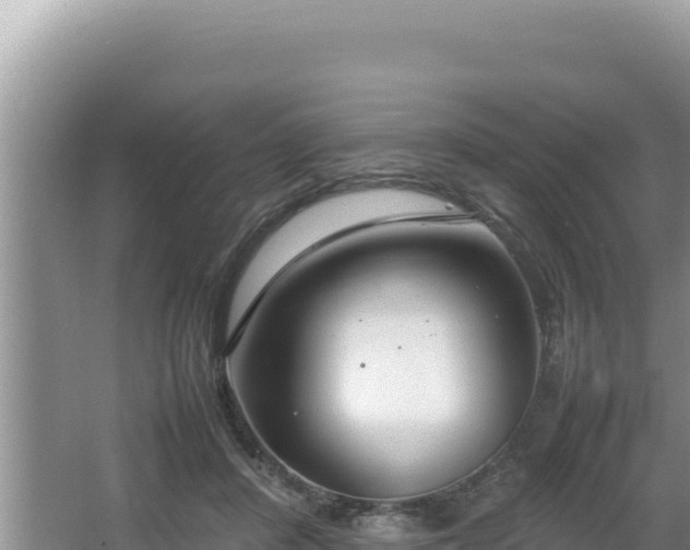 X0000064730408200602131255