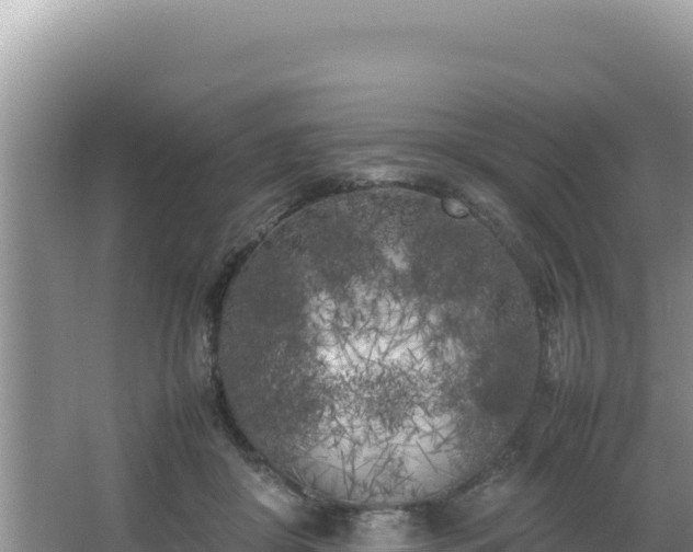 X0000064730410200602131255