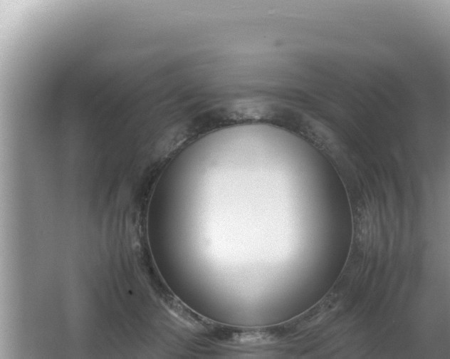 X0000064730414200602131255