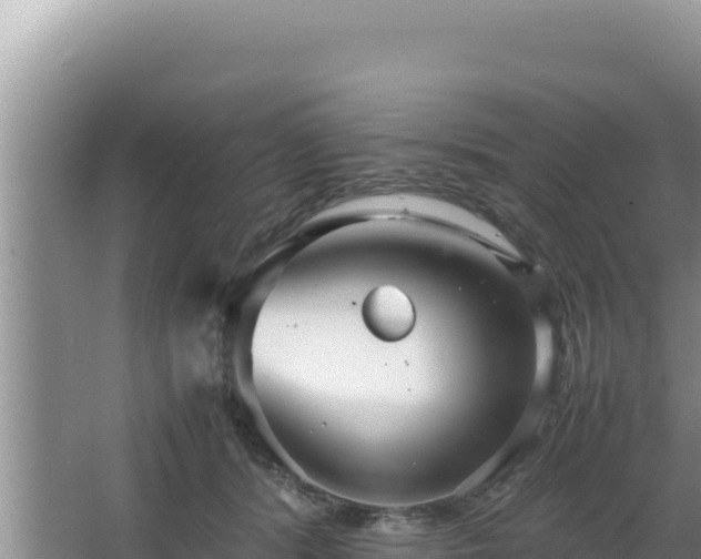 X0000064730416200602131255