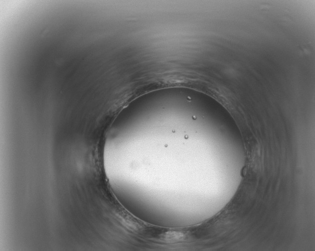 X0000064730418200602131255