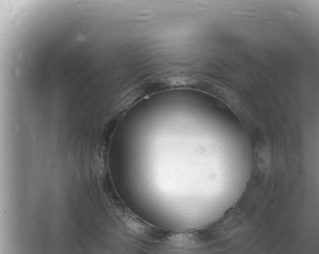 X0000064730422200602131255