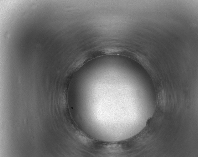 X0000064730426200602131255