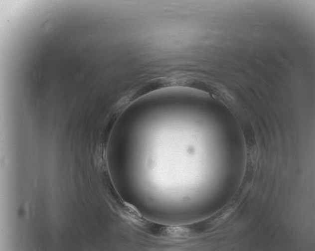 X0000064730429200602131255