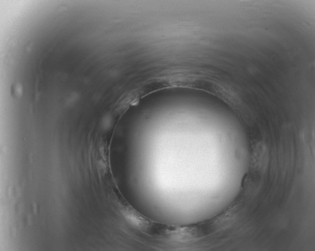 X0000064730430200602131255