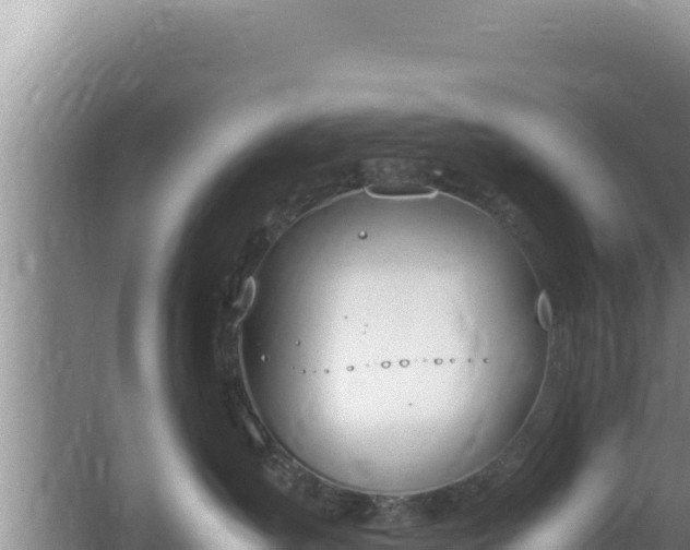 X0000064730431200602131255