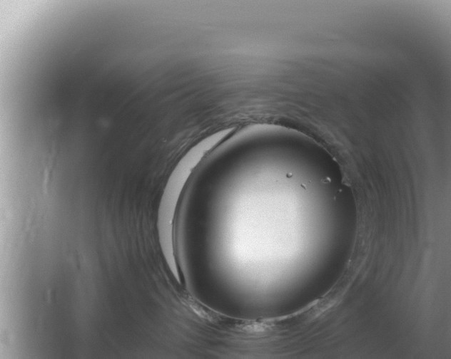 X0000064730432200602131255