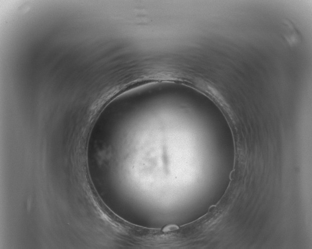 X0000064730433200602131254