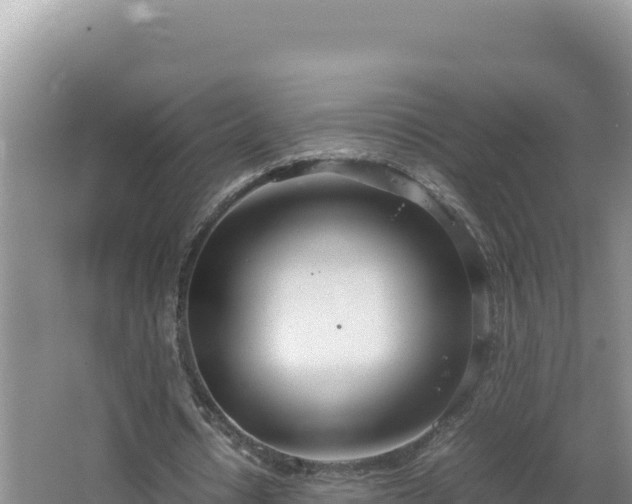 X0000064730434200602131254