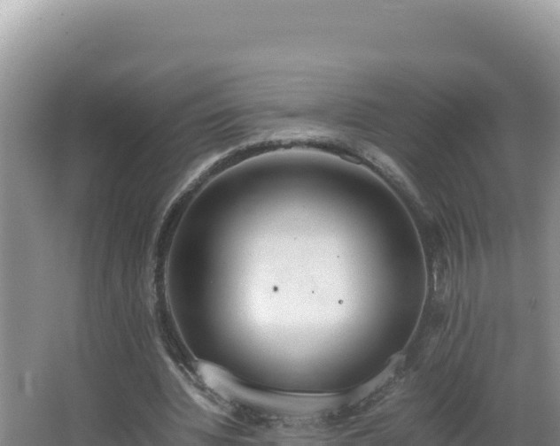 X0000064730436200602131254