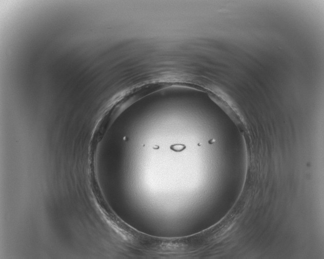 X0000064730437200602131254