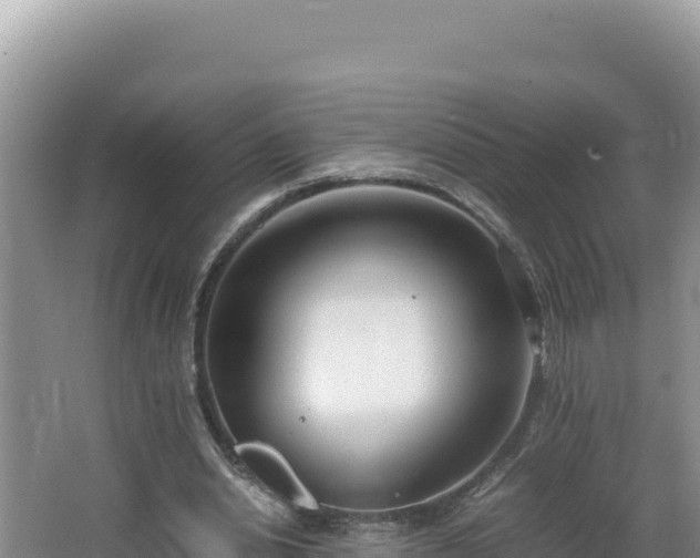 X0000064730438200602131254