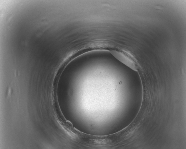 X0000064730439200602131254