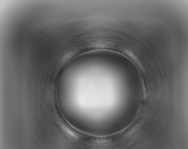 X0000064730445200602131254