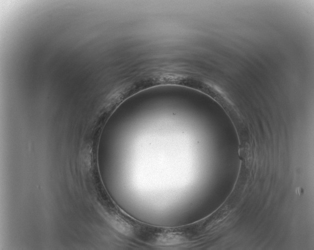 X0000064730451200602131254