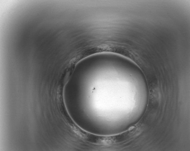 X0000064730466200602131255