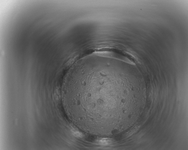 X0000064730467200602131255