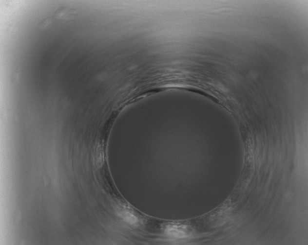 X0000064730471200602131255