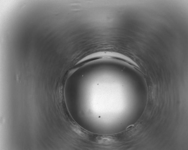 X0000064730475200602131255