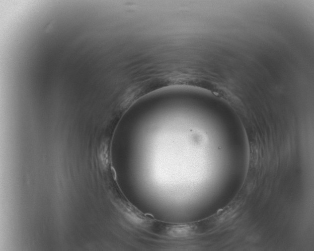 X0000064730479200602131255