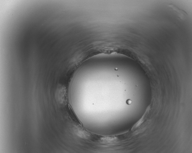 X0000064730480200602131255