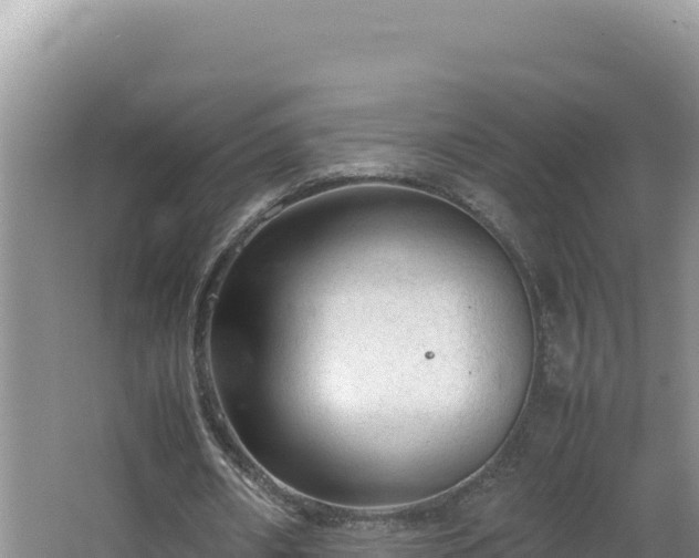 X0000064730482200602131254