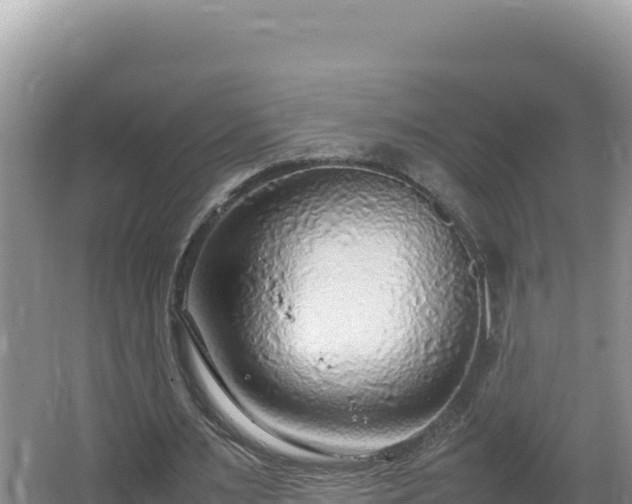 X0000064730483200602131254