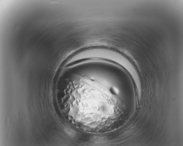 X0000064730487200602131254