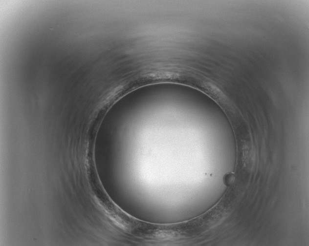 X0000064730490200602131254