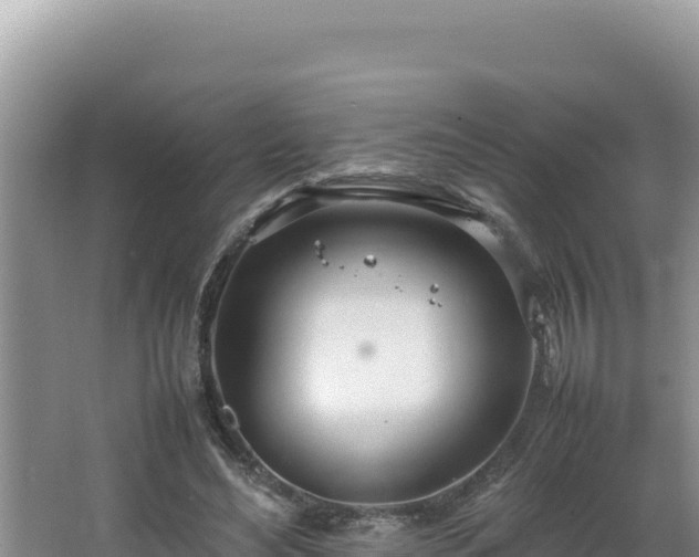 X0000064730492200602131254