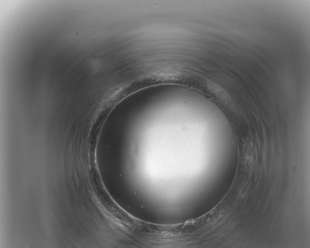 X0000064730494200602131254