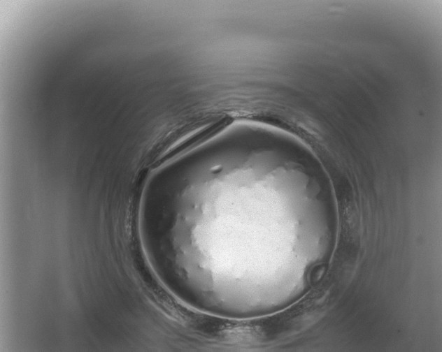 X0000064730499200602131254