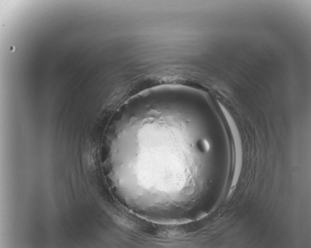 X0000064730503200602131254