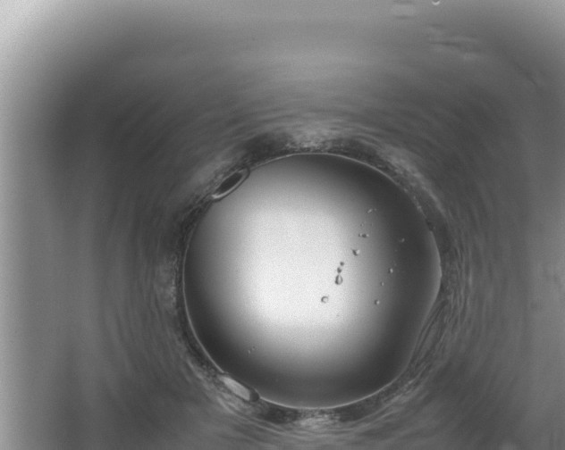 X0000064730505200602131254