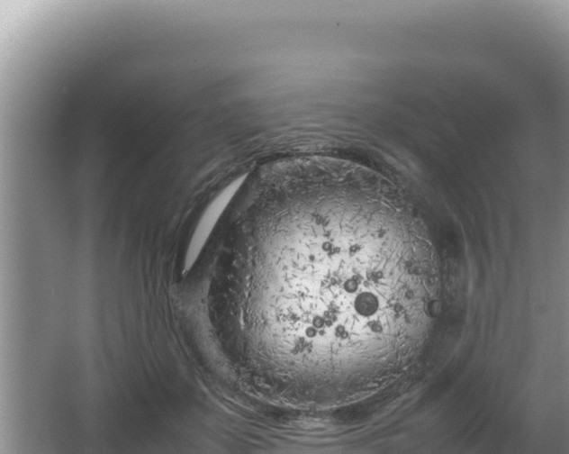 X0000064730507200602131254