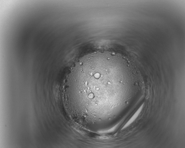 X0000064730511200602131253