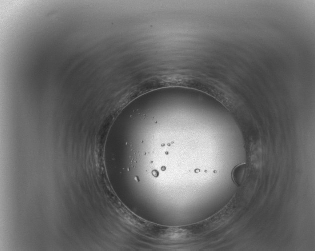 X0000064730514200602131253