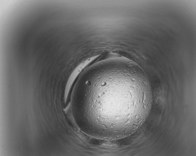 X0000064730515200602131253