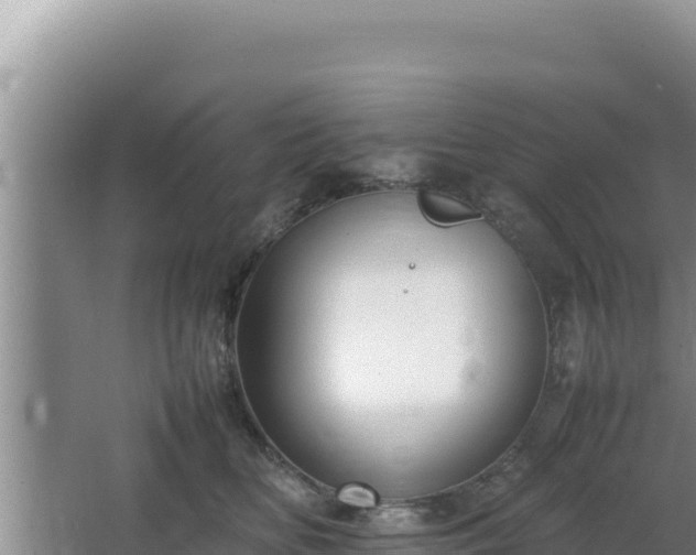 X0000064730518200602131253