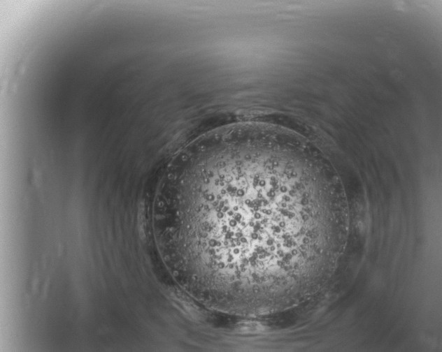 X0000064730519200602131253